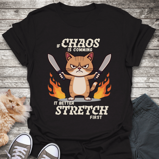 Cat Dealing with Chaos T-Shirt