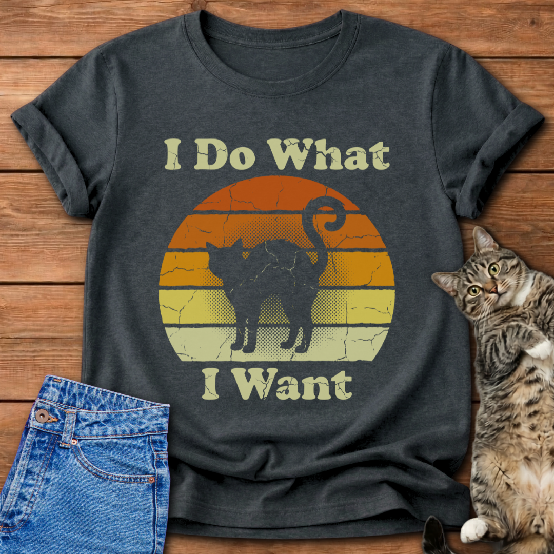 I Do What I Want T-Shirt