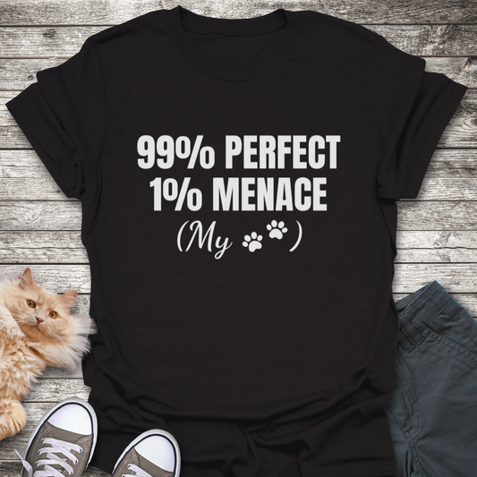 99% Perfect T-Shirt