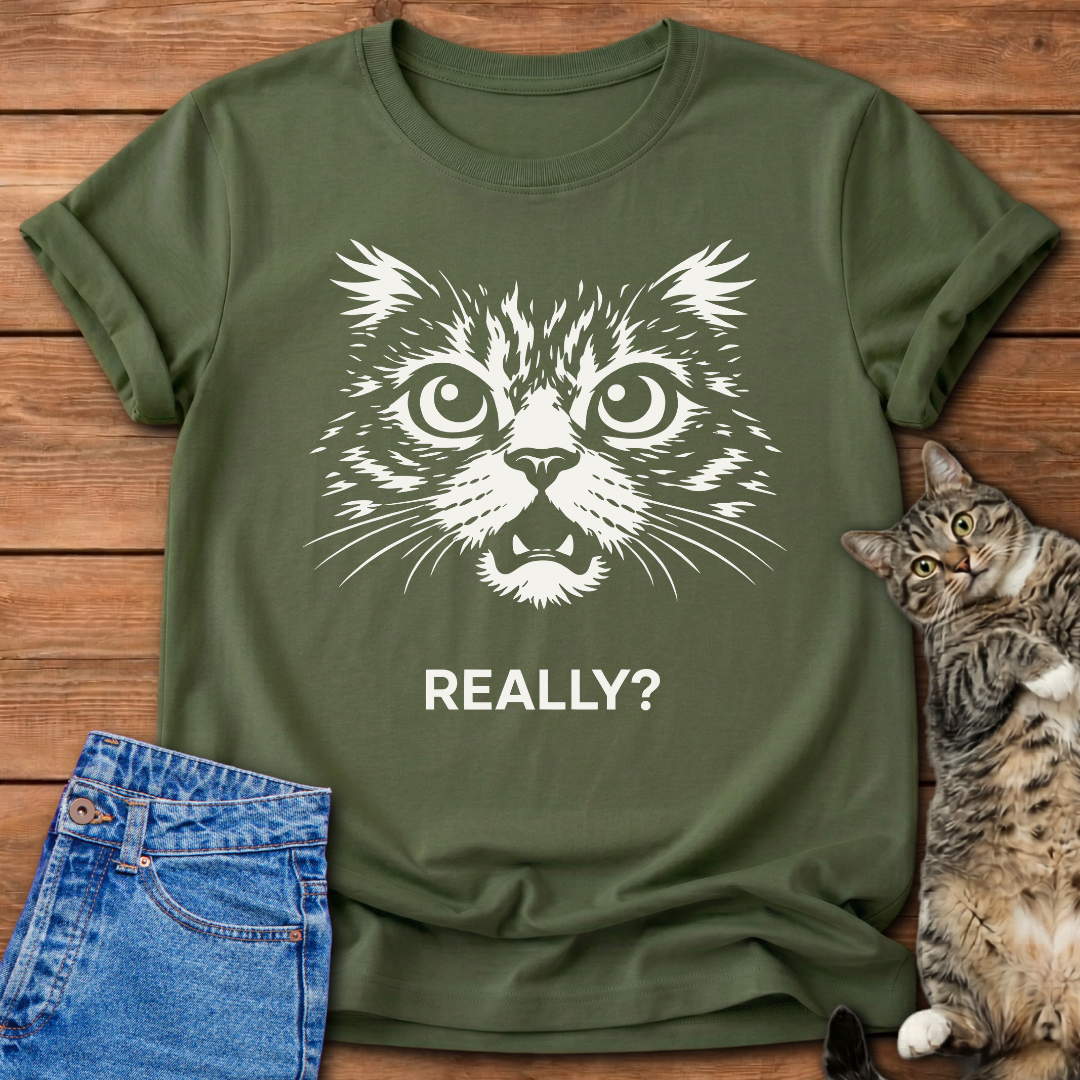 Really? Mood T-Shirt