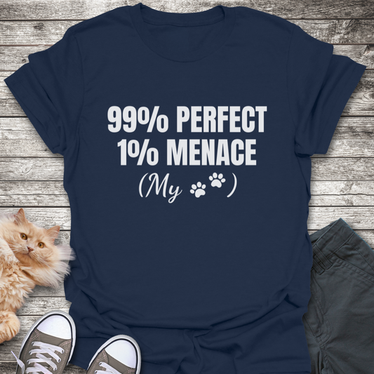 99% Perfect T-Shirt